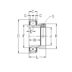 підшипник GRAE20-NPPB NKE