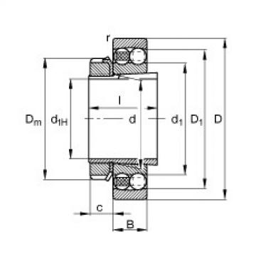 підшипник 2320-K-M-C3 + H2320 FAG