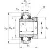 підшипник GE60-KTT-B INA #1 small image