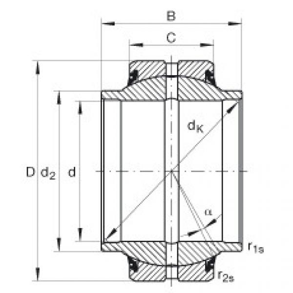 підшипник GE20-HO-2RS INA #1 image