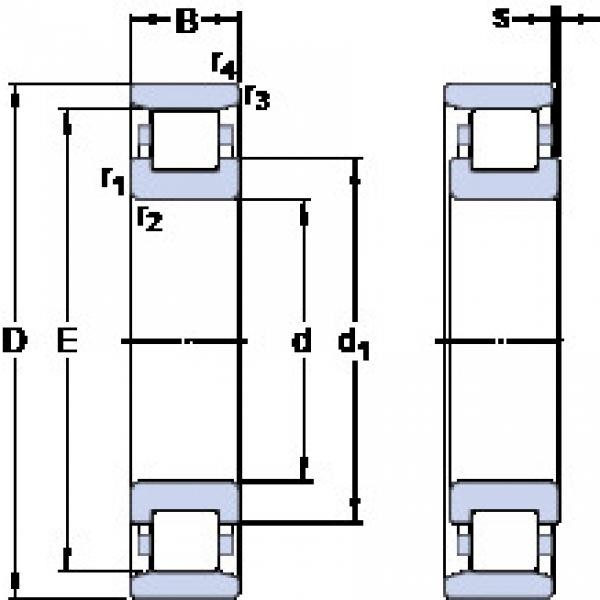 підшипник N 305 ECP SKF #1 image