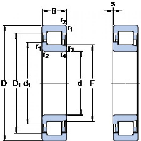 підшипник NJ 203 ECP SKF #1 image