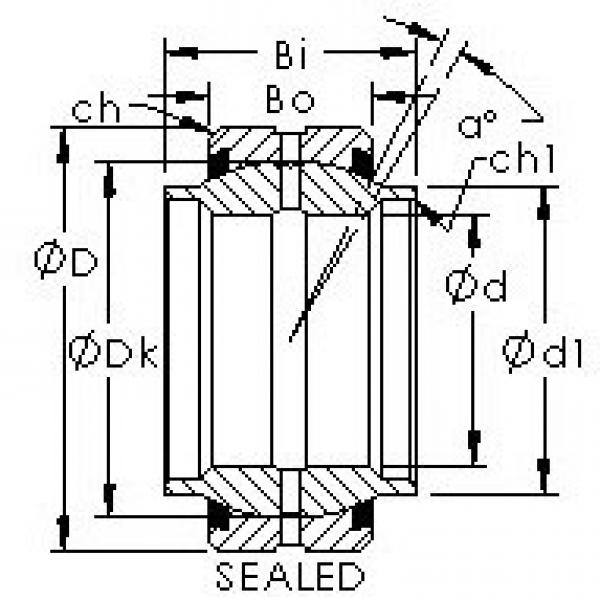 підшипник GEWZ25ES-2RS AST #1 image